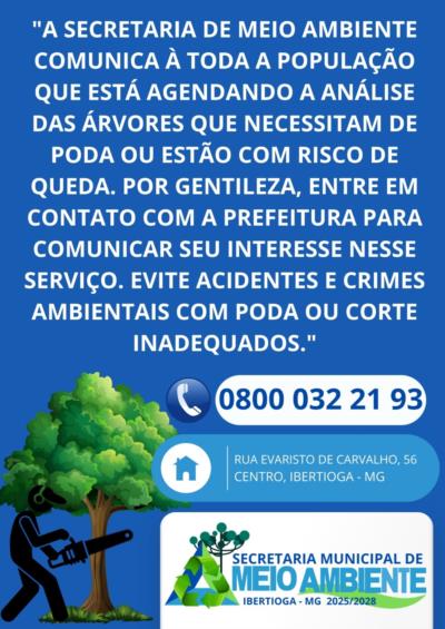 Análise de árvores que necessitam de poda ou apresentam risco de queda