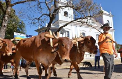 Confira a programação do 44º Festival de Carros de Boi, 31ª Exposição Agropecuária e 47º Torneio Leiteiro de Ibertioga