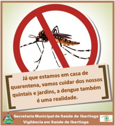 Já que estamos em casa de quarentena, vamos cuidar dos nossos quintais e jardins. A dengue é também uma realidade!